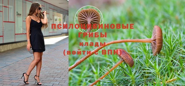 mdpv Струнино