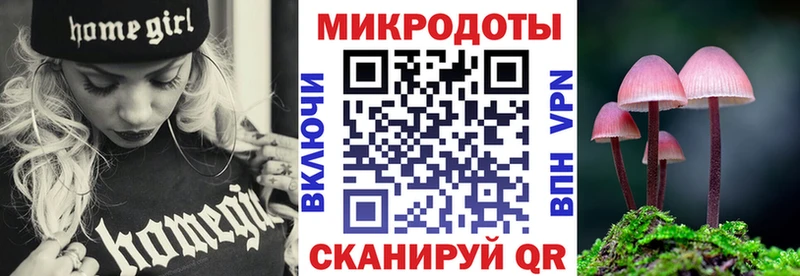 Псилоцибиновые грибы Cubensis  Удомля 