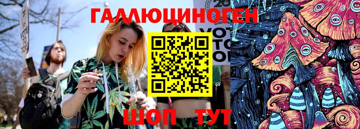 Псилоцибиновые грибы Cubensis  Удомля 