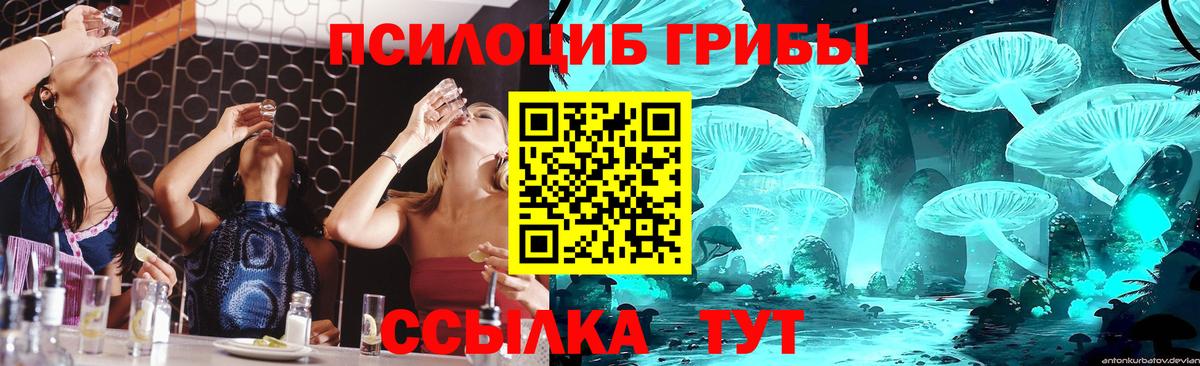 Удомля  Галлюциногенные грибы Cubensis  Вход с VPN 